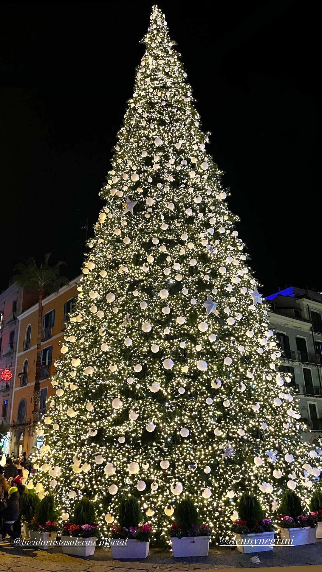 Luci d’Artista Salerno: accensione Albero di Natale il 6 dicembre 2024. Le luminarie si spegneranno il 2 febbraio 2025.