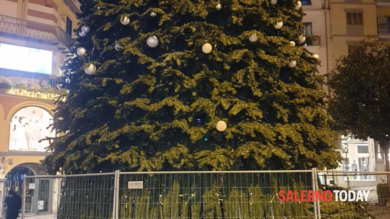 Iniziata l’installazione dell’Albero di Natale e prosegue serrata quella in piazza Flavio Gioia